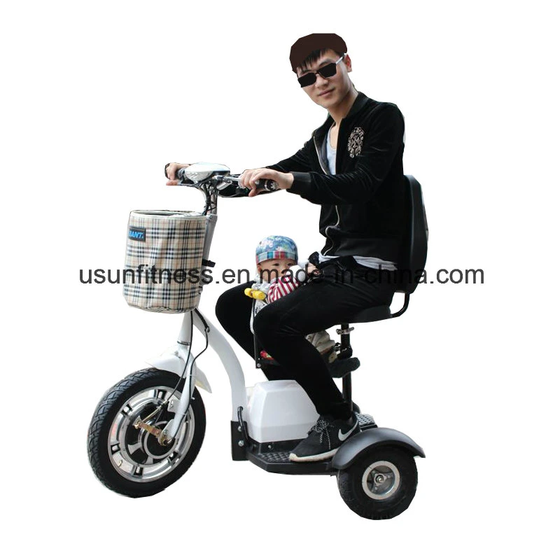 3 Wheels Electric Mobility Scooter Folding E-Scooter Tricycle Electric Bicycle E Scooters with CE