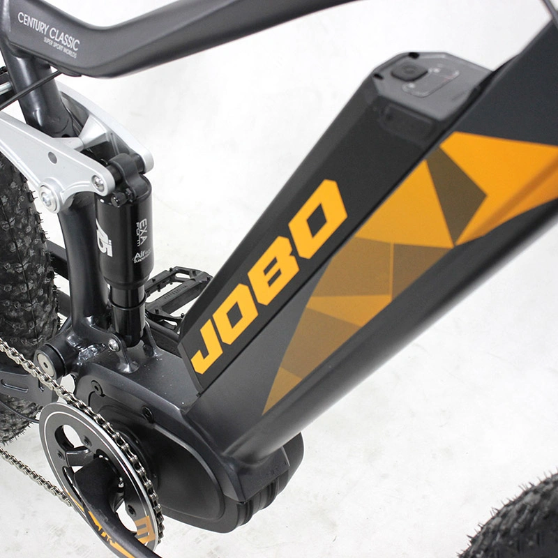 Jobo 500watt 750watt Fatbike 26 Inch Electric Snow Bike with Ce En15194 Jb-Tde32L-F