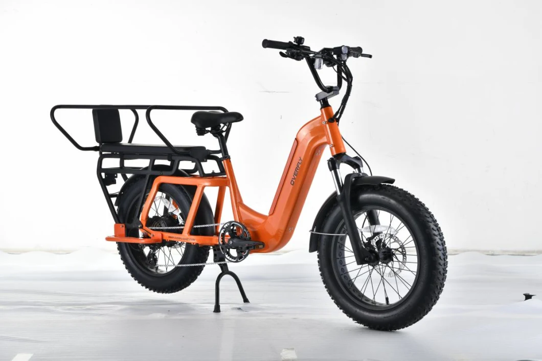 20&prime;&prime;mini Electric Cargo Bike in Chinese Factory