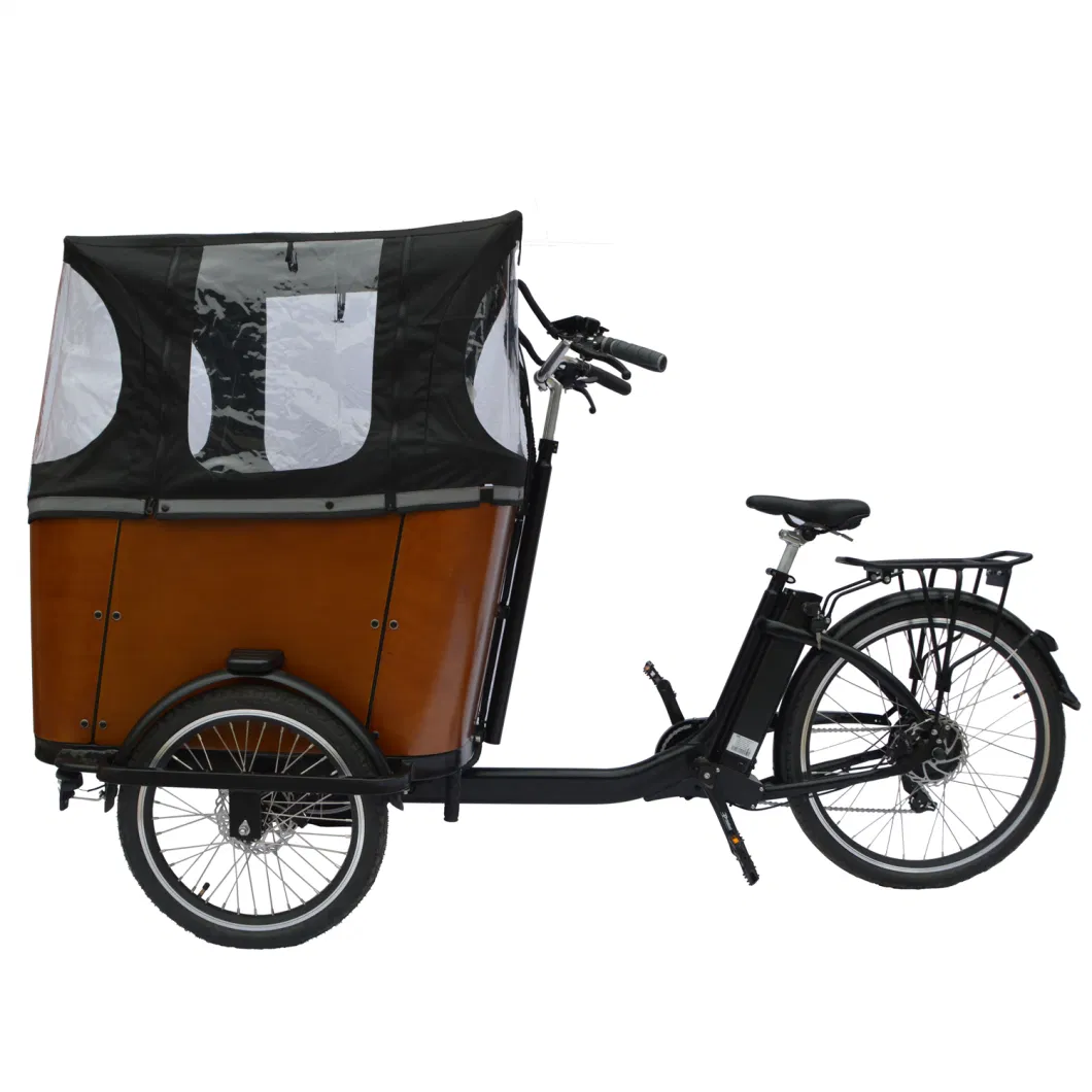 New Design 20/26 Inch Three Wheels Cargo Electric Tricycle E Cargo Bike for Adult