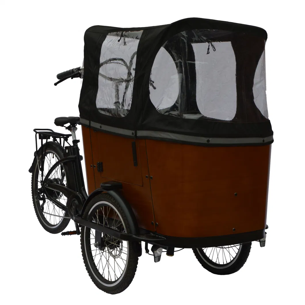New Design 20/26 Inch Three Wheels Cargo Electric Tricycle E Cargo Bike for Adult