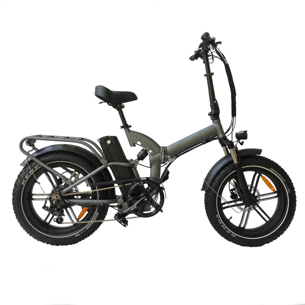 Queene/Lithium Battery City Road Mountain Fat Tire Electric Cycle