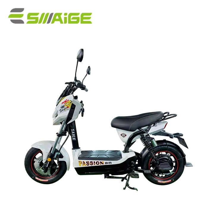 Saige New Design Huge Discount Folding Two Wheel Electric Bicycle for Adults