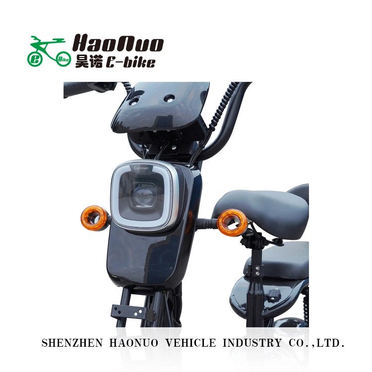 2022 Hot Sell New Model 14 Inch 48V 350watt Electric Bike