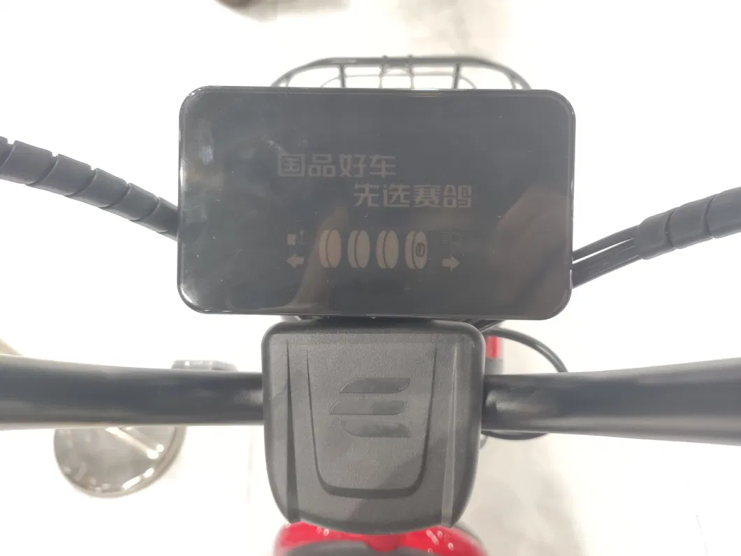 Saige EEC Coc China Factory Direct Sell Cheaper Electric Bike with 25km/H