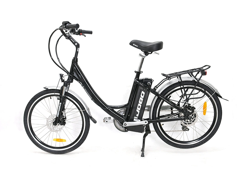 Hot Sale 24inch Electric Bike with High Quality