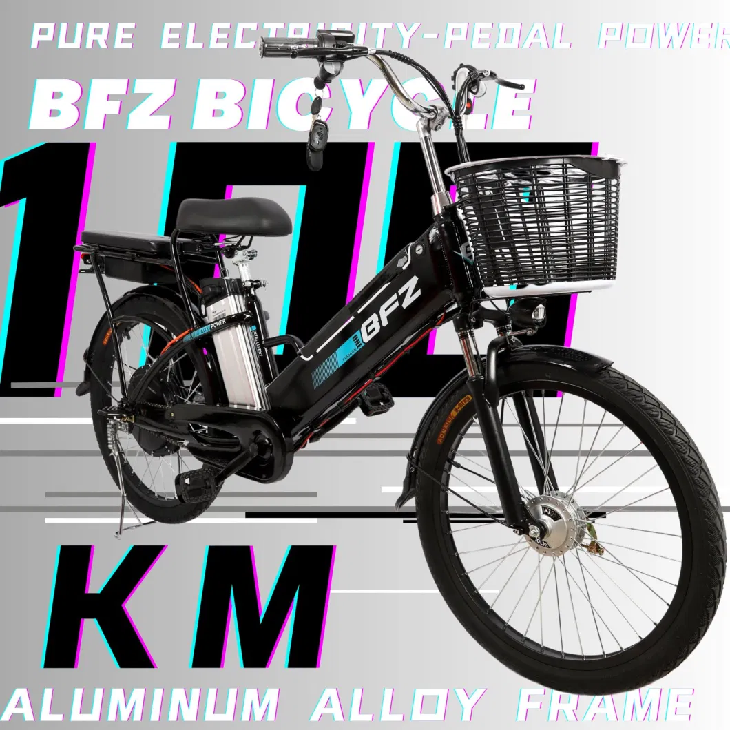 Bfz 100km Endurance Delivery Electric Bike Double People Cycle Travel Bicycle