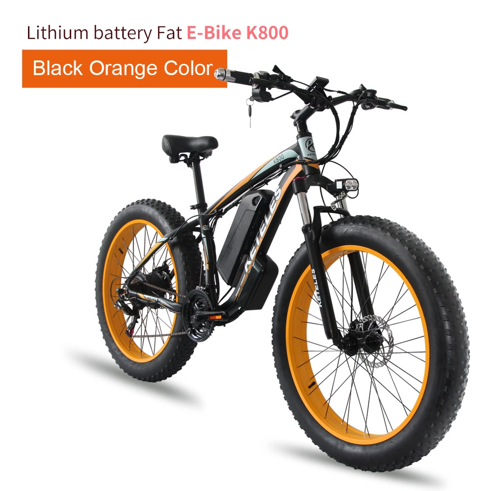 Electric Bike 36V 250W 48V 500W Fat Tire E-Scooter for Adult