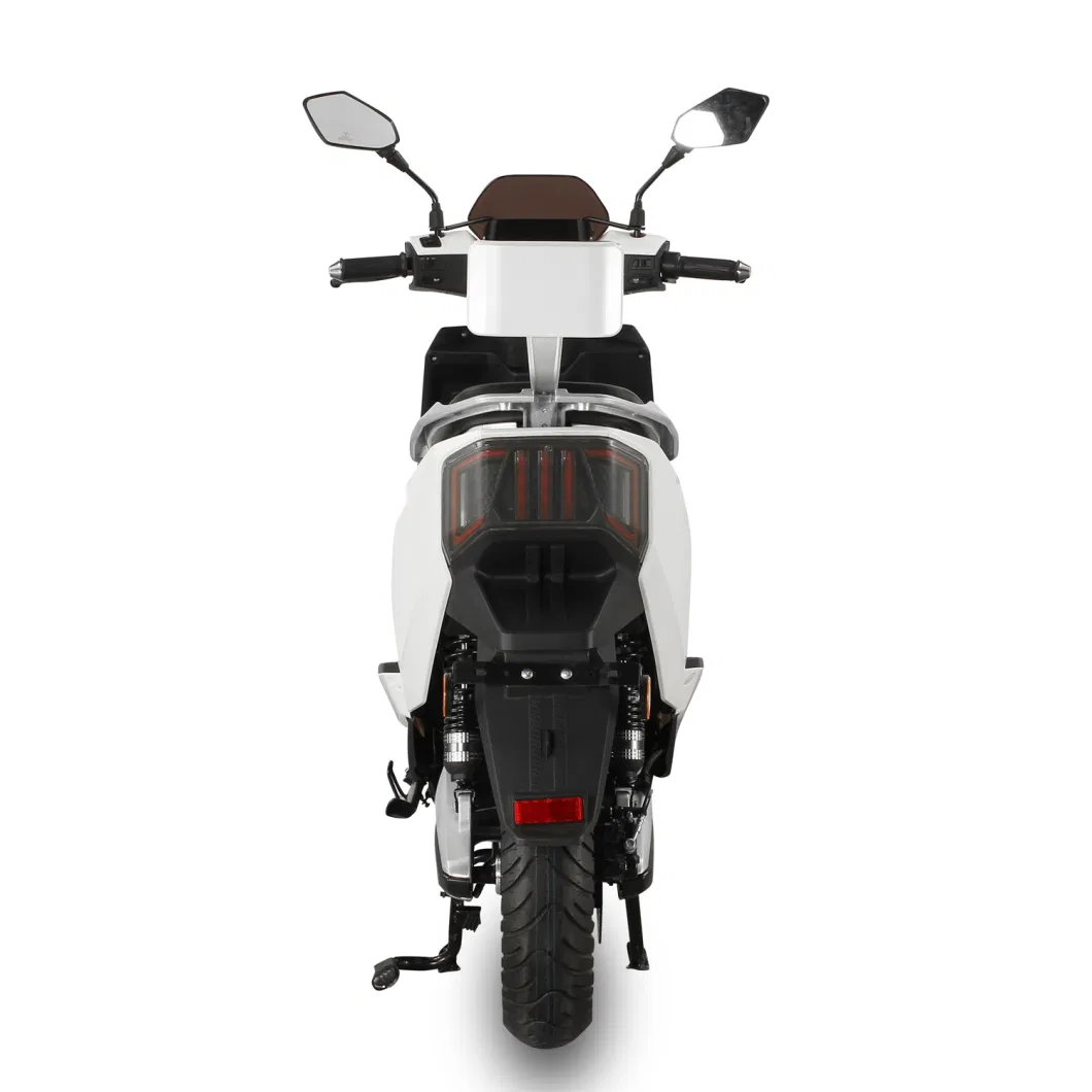 Hot Sale Miami Motorcycle Adult Motor Scooters for Rental Electric Bicycles