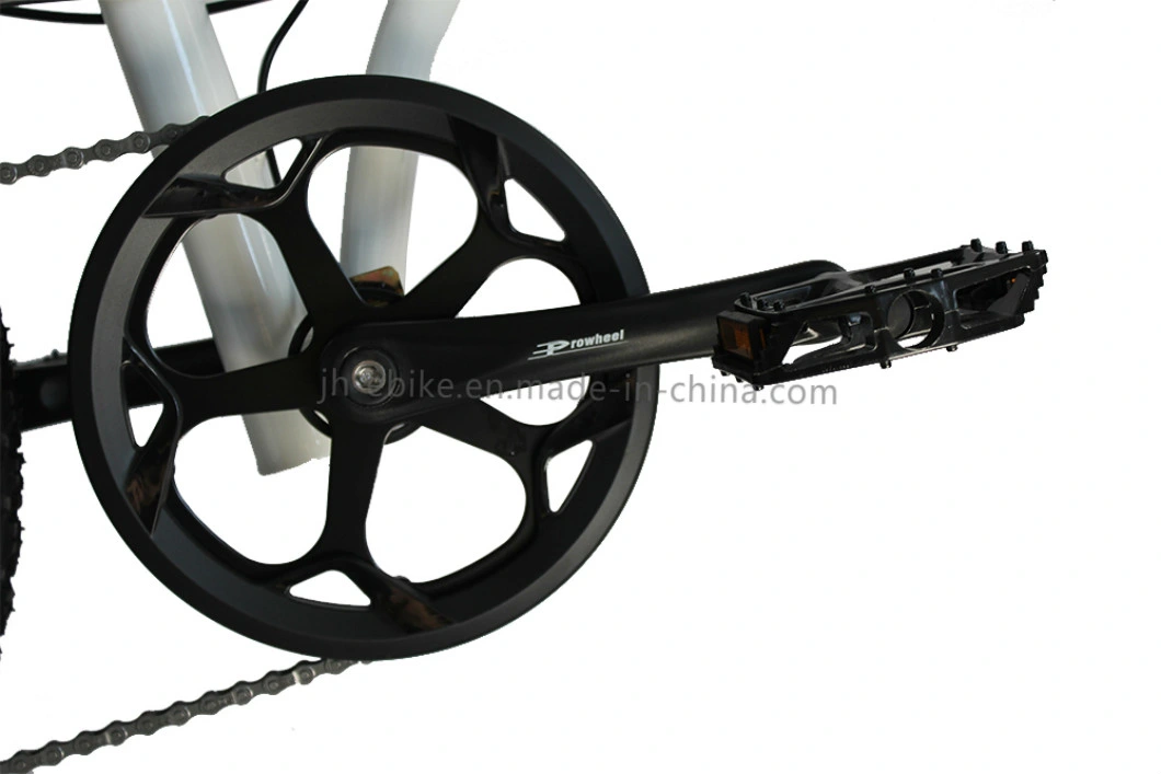 Dropshipping Folding E Bike Fatbike 20 Inch 750W Fat Tyre Electric Cycle