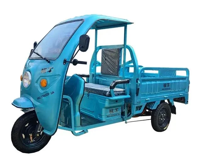 Factory Big Power Electric Tricycle Enclosed Body 3 Wheels Electric Motorized Tricycle Cargo