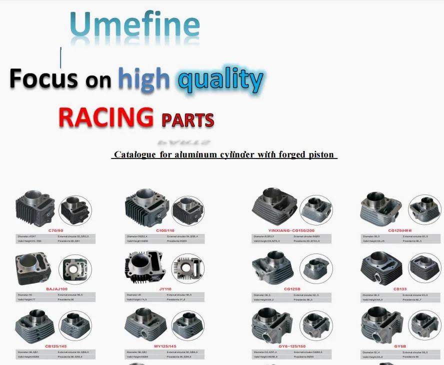 Hot Selling Motorcycle Engine Parts Tvs Motorcycle Parts