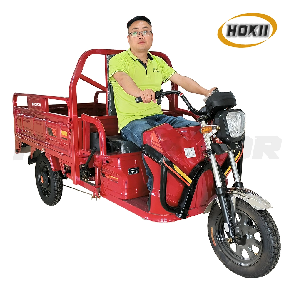 New Design Triciclo Electrico Factory Direct Sale Good Quality 1000W Motor 3 Wheel Motorcycle Vehicle Electric Cargo Tricycle for Sale