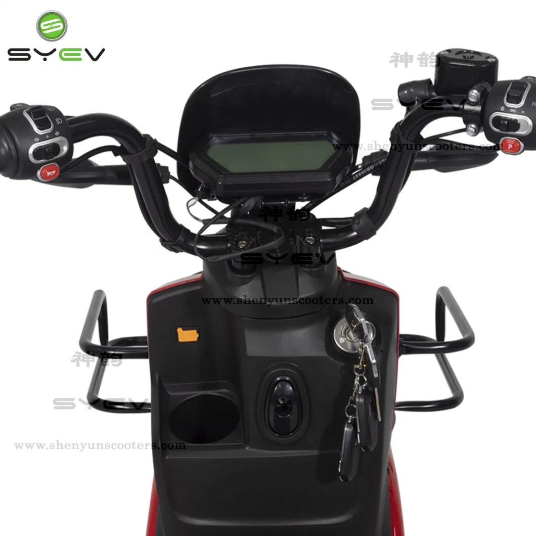 Shenyun 2022 EV Moped Fast Food Electric Delivery Scooter with 120km Long Distance Powerful 800W 1200W Electric Motorcycle EEC 2 Wheel E Bike