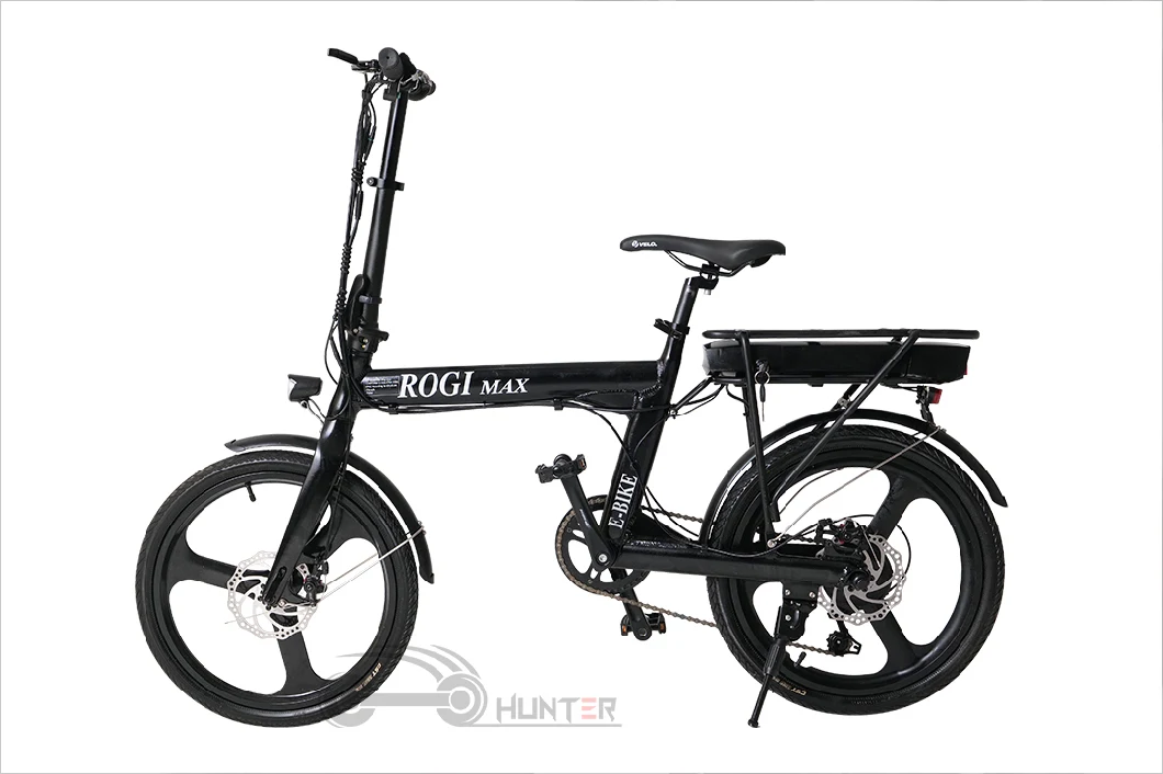 2023 Best Electric Cycle for Europe