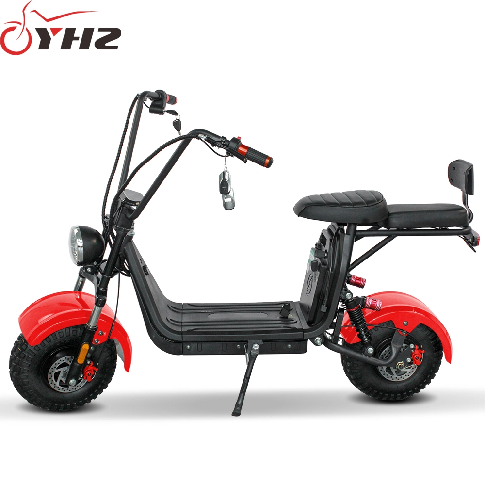 Lightweight 800W 48V Electric Bicycle Small Design with Lithium Battery for Adult