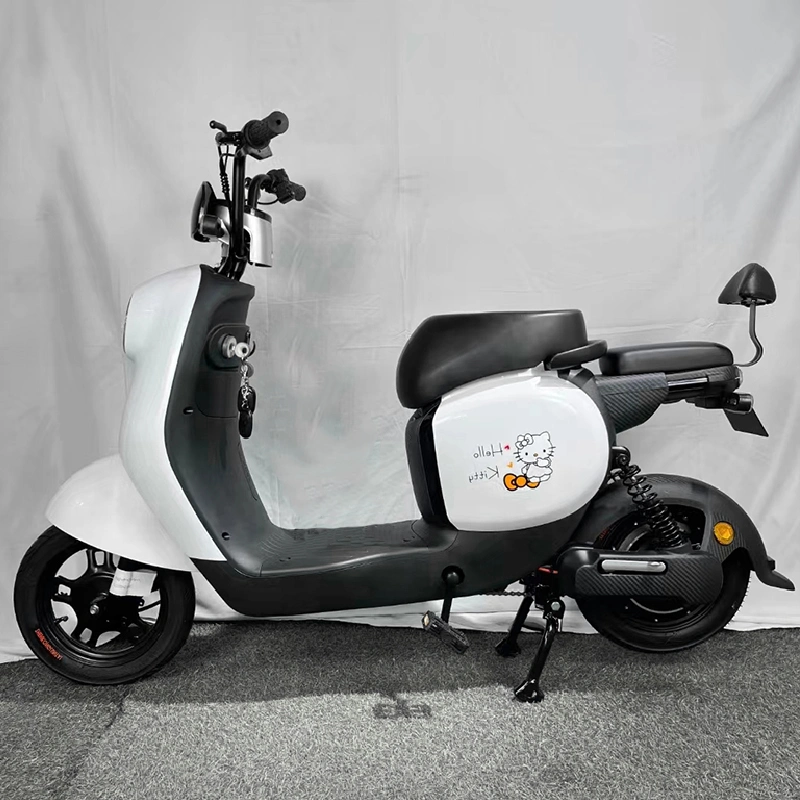 2022 Hot Selling Chinese Electric Bike Adults Electric Bicycle