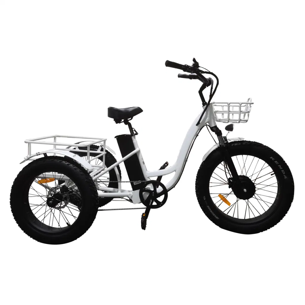 Bafang Motor Front Drive Aluminum Alloy 3 Wheel Cargo 4.0 Inch Fat Tires Adult Electric Tricycle