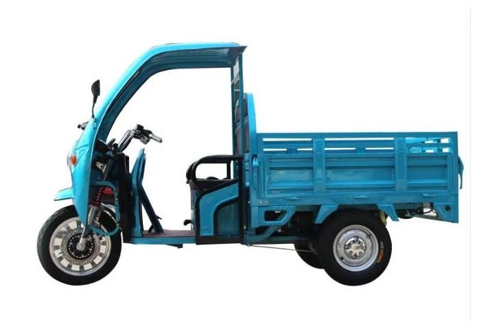 Factory Big Power Electric Tricycle Enclosed Body 3 Wheels Electric Motorized Tricycle Cargo