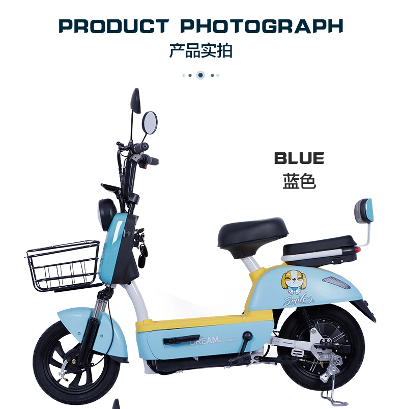 Electric Motorcycle Adult EEC Electric Scooters Powerful Adult Moped