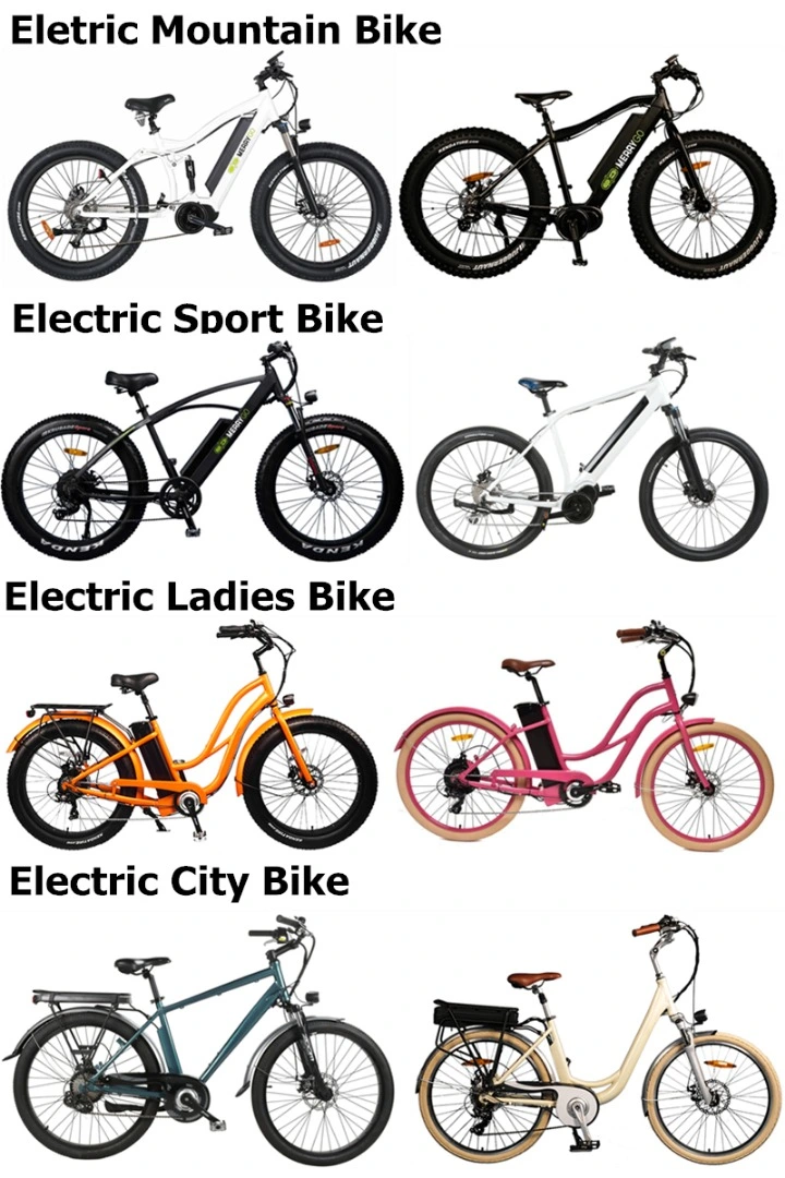 PAS Integrated Electric Fat Mountain Bike/ Big Power Electric Bicycle