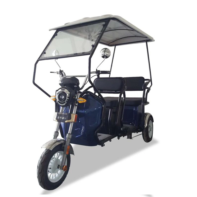 48V650W Electric Mini Electric Rickshaw Passenger Tricycle with Foldable Seat