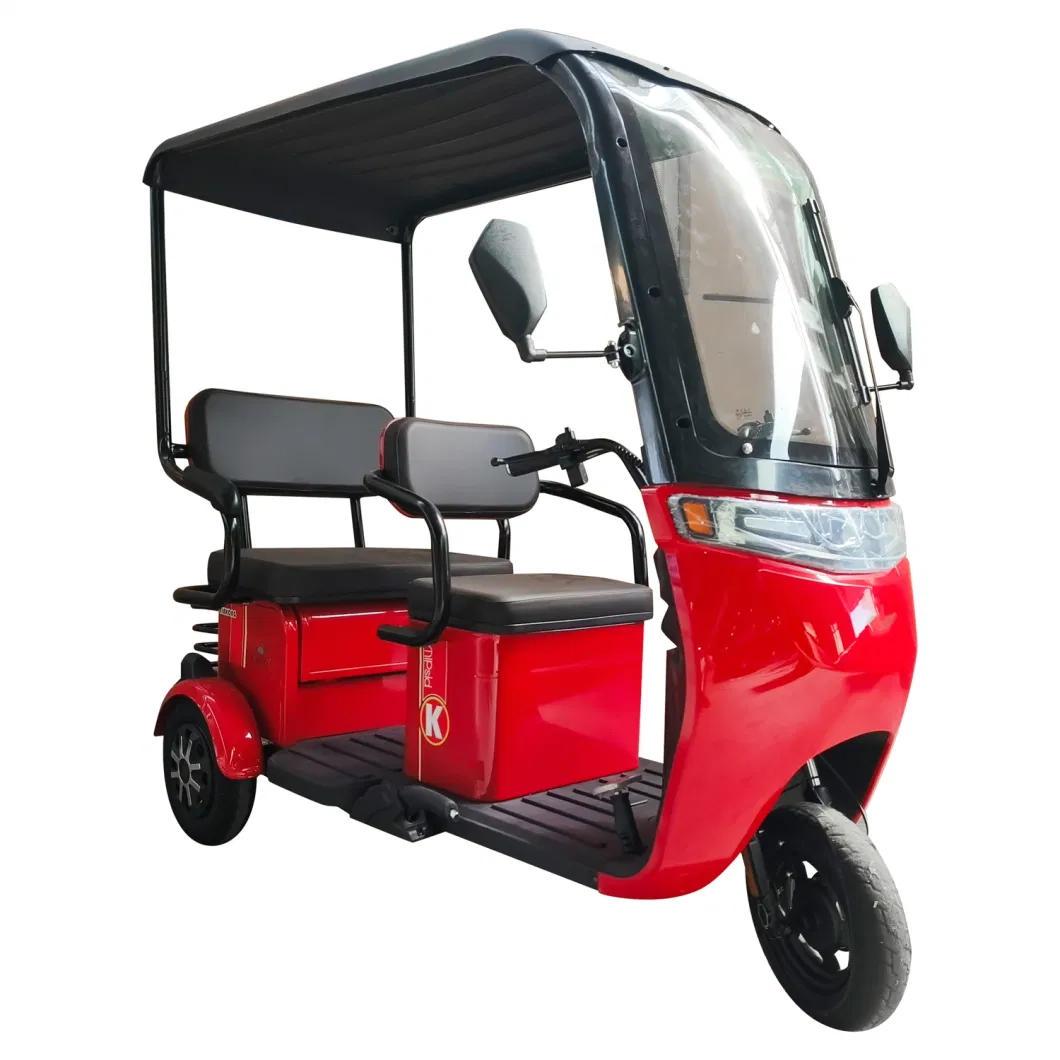 Willstar Ty378 Adult Electric Tricycle 3-Wheel One Driver and 2 Passenger Trike Chilwee 48V20ah Lead-Acid Battery Operated Integrated Shed, Windshild, Wiper