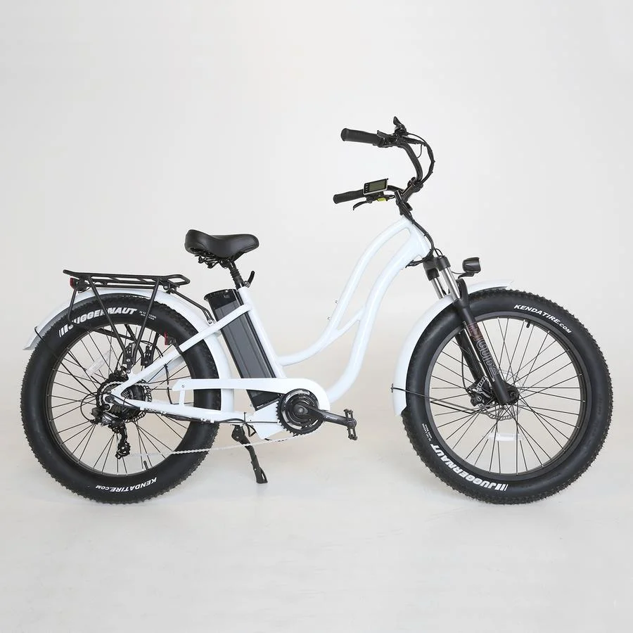750W Electric Bike/Electric Bike Scooter/Men&prime;s City Electric Bike
