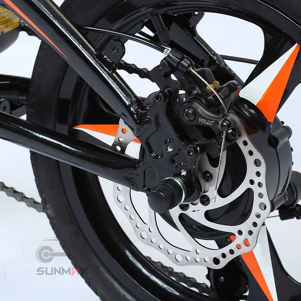 250W E Bike Electric Bicycle Folding Intelligent Fashion Electrique Pedelec
