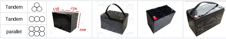 Lws 12V 24ah Lithium Battery for Electric Scooter