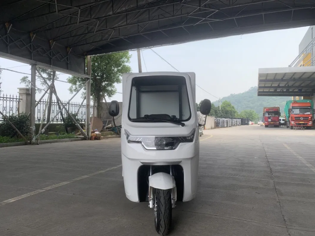 Electric Cargo Tricycle Cargo Trunk Electric Tricycle Express Tricycle DHL FedEx