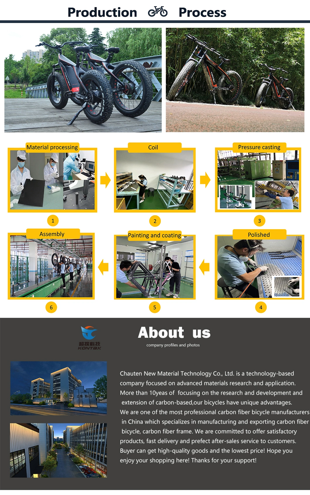China Manufacturer Electronic Bikes 750W/1000W Carbon Fiber Fat Tire Electric Bike Mountain Electric Bicycle Cycle