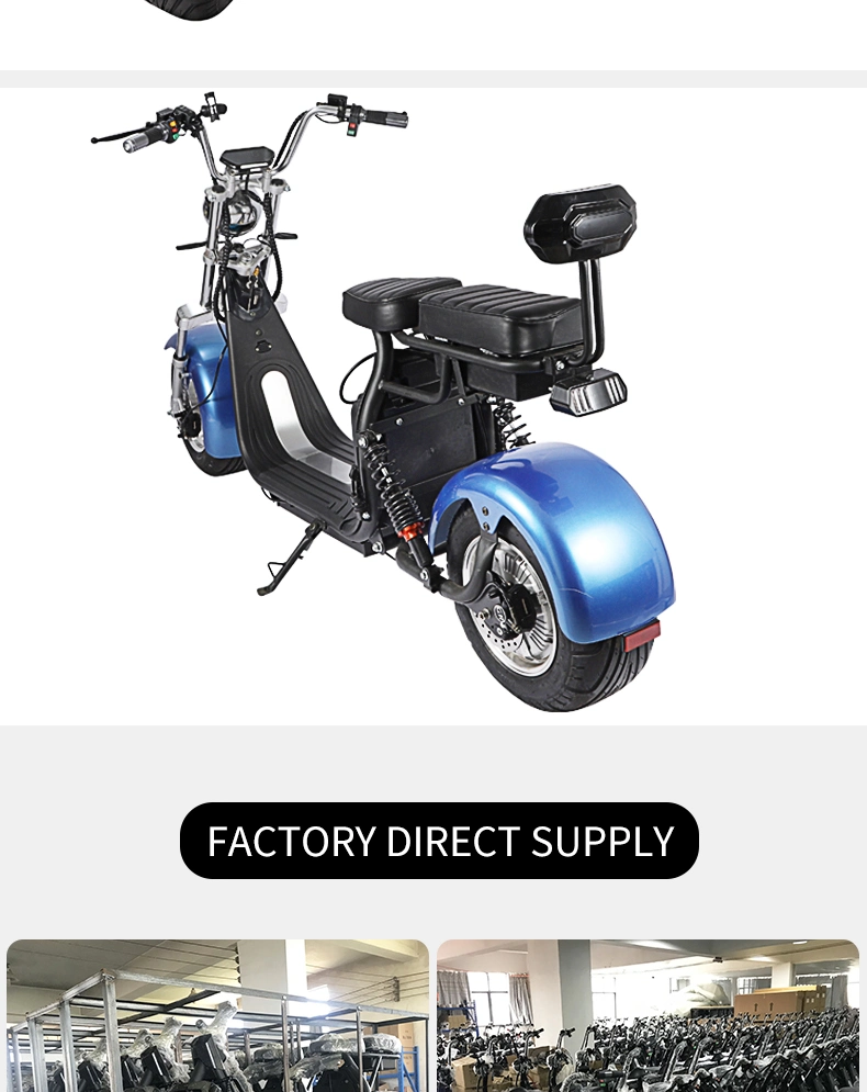 Electric Motorbike Electric Bike with Passengers 60V 1500W Motorcycle Citycoco for Men