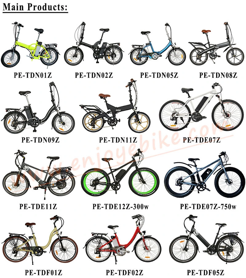 City 26inch E Bike TUV High Quality Electric Bike