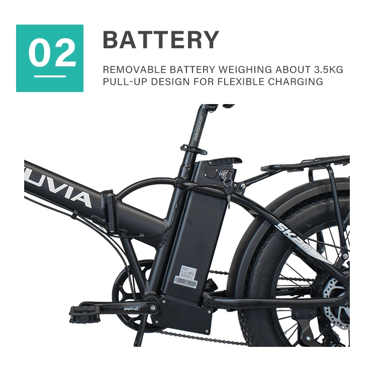 20 Inch 250W/350W/500W Folding Fat Tyre Electric Bike with CE Approved