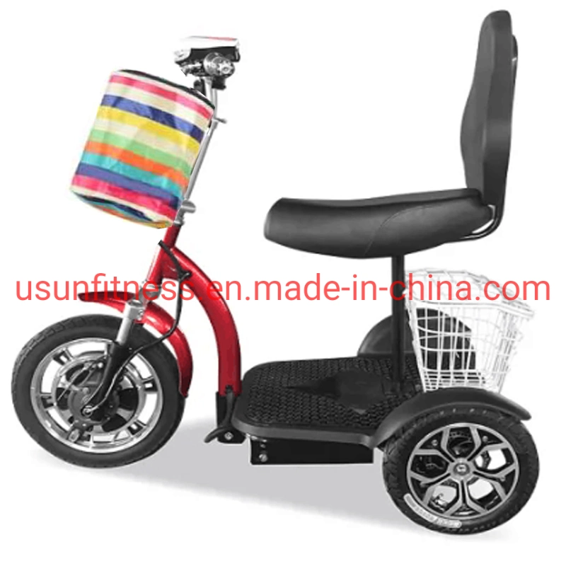 Promotion 500W Low Price 3 Wheel Electric Mobility Scooter Cheap 3 Wheel Electric Tricycle Cargo Bike Cargo Tricycle Bicycle with CE
