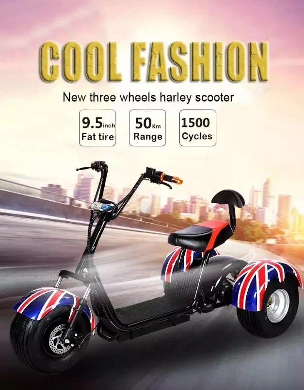 EEC/Coc Certificated Electric Motorized Tricycles 3 Wheel 1500W 12ah/20ah Double Seat Citycoco for Adult