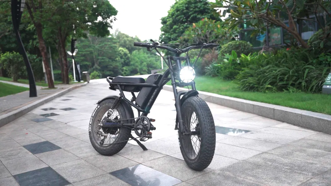 Z8 Electric Bike Two Tires 48V Electric Bicycle for Sale
