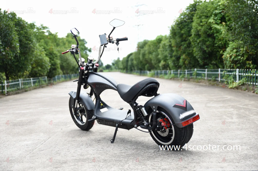 Wholesale EEC 2 Wheel Fat Tyre Citycoco 350W Best Electric PRO Scooters