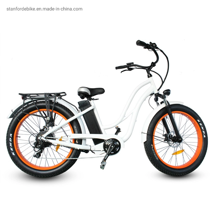 Electric Bicycle 2023 New Design Stf-1 500W MID Drive Electric Power Assisted Light Weight Bicycle Ebike