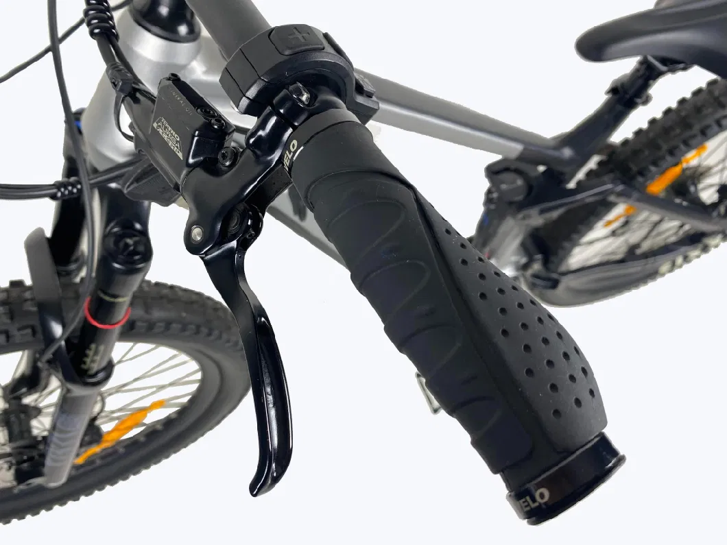 Central Drive Electro Elektro Mountainbike Fiet Elektrische Fatbike E Bike Electric Bicycle