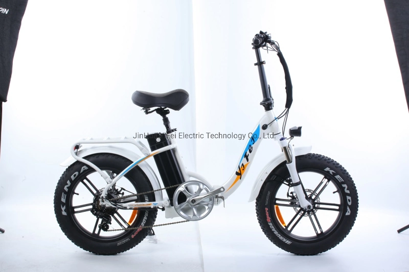 36V 10 Ah Electric Foldable Bike Bicycle En15194 (sii approved)