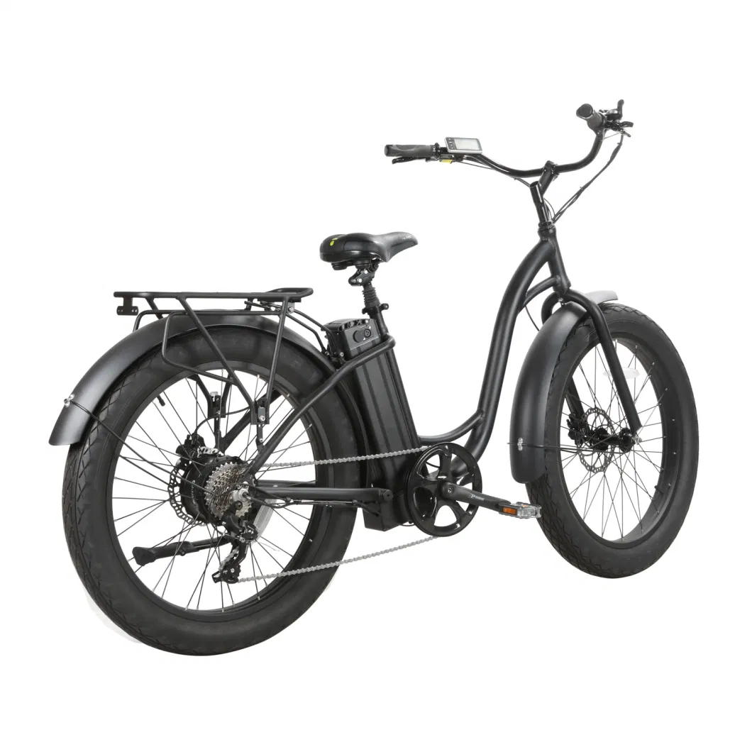 Hot Sale Adult E-Bike with Lithium Battery Cruise Type