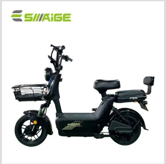 Saige Brand New Design Electric Bike for Canada and America Market