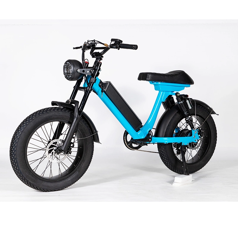 Good Design Electric Bicycle 48V/15ah Premium Battery Kenda 20*4.0 48V500W Brushless Electric Bike