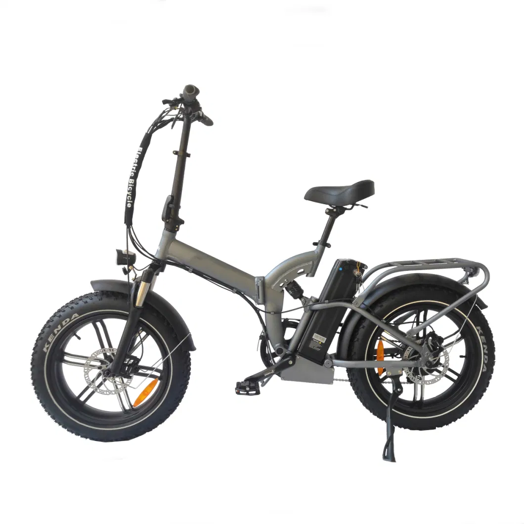 Queene/Lithium Battery City Road Mountain Fat Tire Electric Cycle