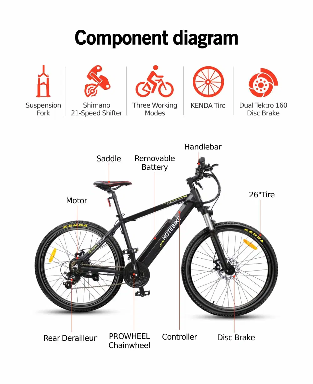 36V/48V 250W/350W/500W/750W High Power Mountain Electric Bike