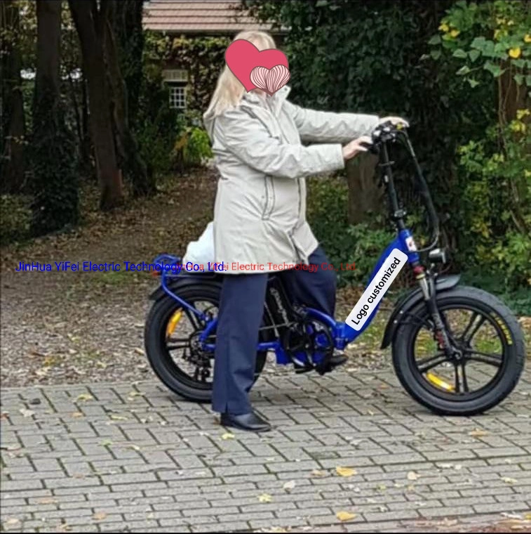 China E-Bike Factory Electric Bike 20&quot; Lady Mountain Bicycle Brushless Motor off Road Electric Ebike