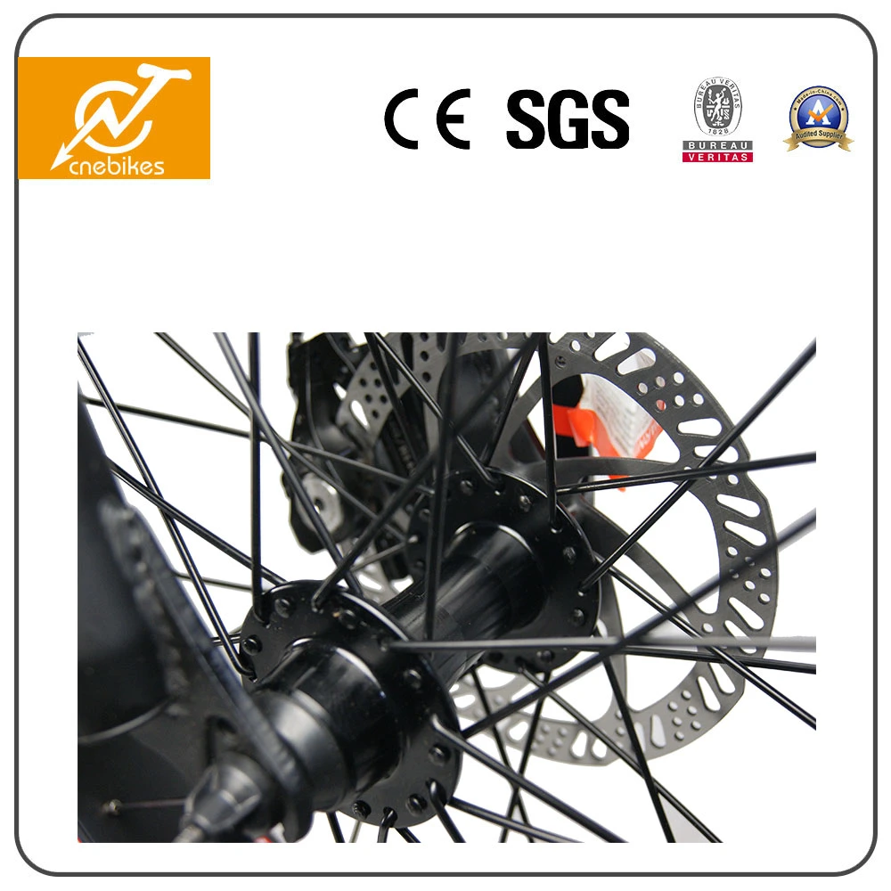Bici elettrica pieghevole da 350W Sr20A Cnebikes 20&#39; FAT Tire Bici elettrica Cruiser