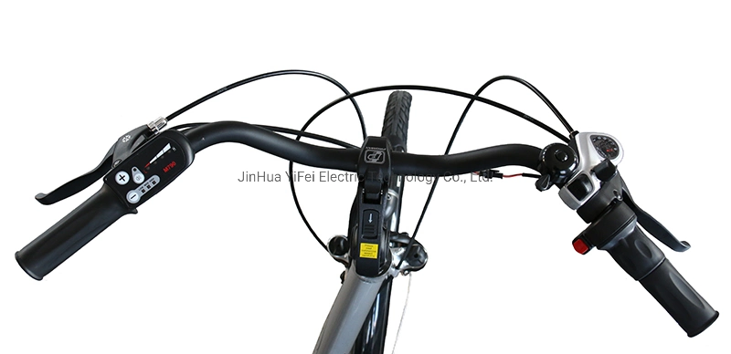 Bicicletta elettrica del motorino elettrico di disegno di modo della bici di qualit&#224; del pedale di Wellgo (TDF02Z)
